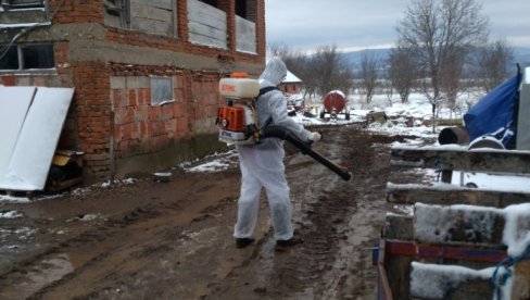 AFRIČKA KUGA SVINJA U TRGOVIŠTU: Tri sela u zaraženom području