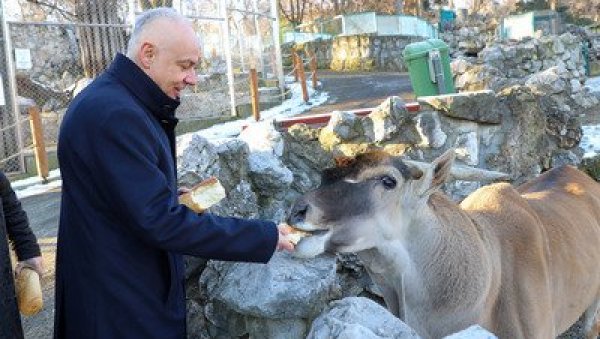 ЕДУКАТИВНИ ЦЕНТАР У ЗОО ВРТУ: Нова улагања у зоолошки врт