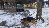 I ОНИ СУ ДЕО ВОЈСКЕ КОЈА НАС ЧУВА: Обука водича и паса за проналажење минско-експлозивних средстава