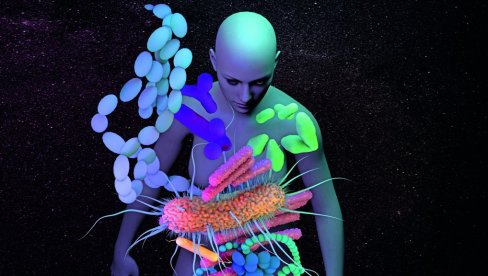 ОПАСНА БАКТЕРИЈА НА ОРТОПЕДИЈИ У ВРАЊУ: Огласио се Здравствени центар: Активиране су све епидемиолошке мере