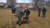 SARADNJA MESNE ZAJEDNICE NOVI ITEBEJ I VOJVODINA ŠUMA: Organizovana akcija pošumljavanja (FOTO)