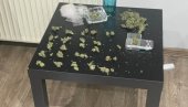 DETALJI AKCIJE U MIRIJEVU: Policija uhapsila dva muškarca, zaplenjena marihuana