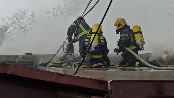 ПОЖАР У СЕЛУ ПЛАНИНИЦА: Захваћена већа површина, гашење отежава јак ветар