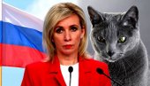 SANKCIJE I ZA RUSKE MAČKE I DRVEĆE: Zaharova o potezima Zapada - U pitanju je koncentrisana mržnja