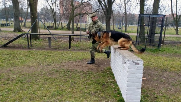 ВОЈНА ДРЕСУРА ПАСА: Обука водича и службених паса за чуварску службу