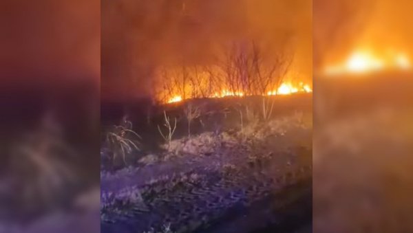 ВЕЛИКИ ПОЖАР КОД БАЧА: Ватрогасци се боре са пламеном (ВИДЕО)