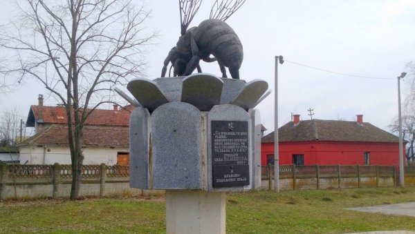 ПЕТРОВАЦ НА МЛАВИ: У Каменову за викенд „Дани млавско-хомољских пчелара“