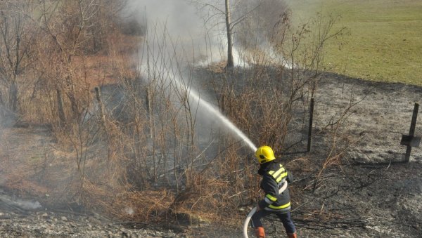 ПОЖАР ПОДМЕТНУТ? Шири се ватрена стихија код Краљева, захваћено десет хектара шуме (ВИДЕО)