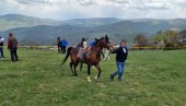 TRADICIJA NASTAVLJENA NAKON DVE GODINE: Komaranska košija kod Brodareva okupila na hiljade posetilaca (FOTO)