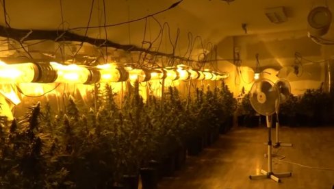 SRBIN PRIVEDEN U BENIDORMU ZBOG SAOBRAĆAJA:  Srbija  ga čeka zbog sumnje da je švercovao drogu