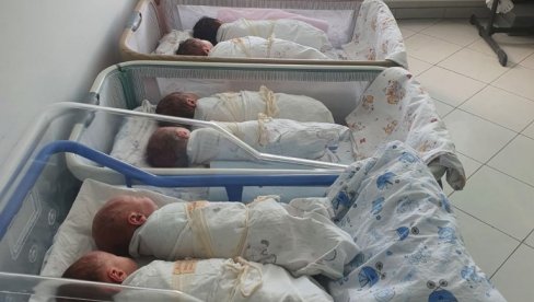 ПРЕЛЕПЕ ВЕСТИ ИЗ СРПСКИХ ПОРОДИЛИШТА: У августу рођено највише беба од почетка године ПРЕЛЕПЕ ВЕСТИ ИЗ СРПСКИХ ПОРОДИЛИШТА: У августу рођено највише беба од почетка године
