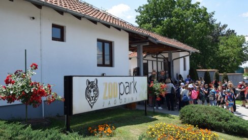 БЕСПЛАТАН УЛАЗ У ЈАГОДИНСKИ ЗОО ВРТ: За све ђаке прваке у Србији и њихове родитеље
