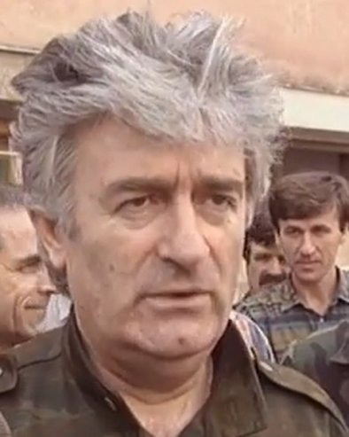 РАДОВАН КАРАЏИЋ: Највећи српски непријатељи су они који су их поделили на партизане и четнике