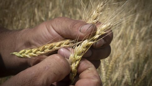 МАЂАРИ ОДЛУЧНИ: Забрањују увоз украјинског жита МАЂАРИ ОДЛУЧНИ: Забрањују увоз украјинског жита