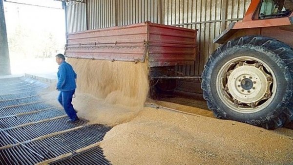 СРПСКО ЖИТО ОПЕТ У ИНОСТРАНСТВУ: Држава укида забрану извоза житарица на следећој седници владе