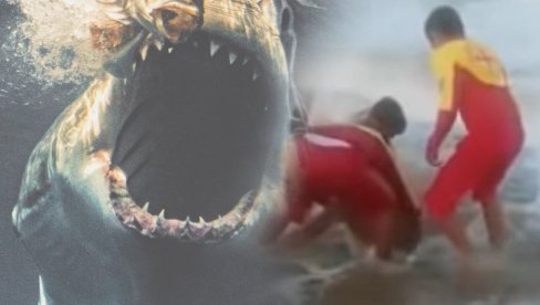 POGLEDAJTE - OVOG PREDATORA SE PLAŠE I VELIKE BELE AJKULE: Napadaju iz dubina okeana (VIDEO)