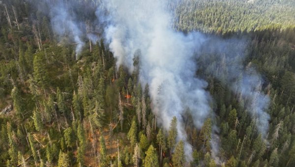 ДРАМАТИЧНИ ПРИЗОРИ У КОМШИЛУКУ: Ватра гута све пред собом, ситуација се мења из минута у минут (ФОТО)