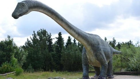 DEČAK U VRTU SVOJE KUĆE NAŠAO  ZUB DINOSAURUSA: Činilo se da je običan kamičak