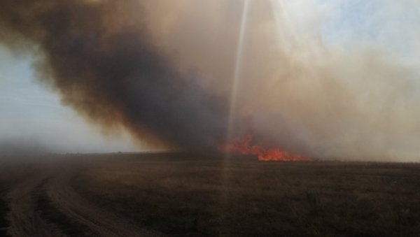 ГОРИ РЕЗЕРВАТ ПРИРОДЕ КОД КИКИНДЕ: Угрожено станиште велике дропље