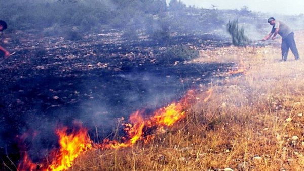 И ЛЕЦИ ГАСЕ ПОЖАРЕ НА ЊИВАМА: Превентивна акција чланова недавно формираног добровољног ватрогасног друштва у Пироту