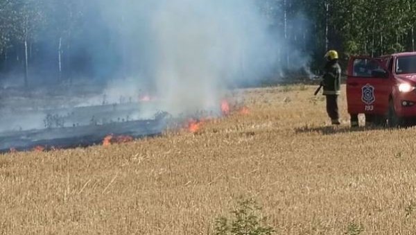 НОВОСАДСКИ ВАТРОГАСЦИ ГАСИЛИ ВИШЕ ПОЖАРА: Градоначелник Вучевић им се захвалио на преданости и посвећености (ФОТО)