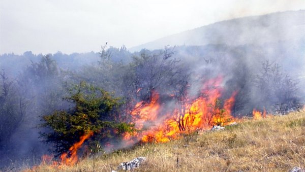 НЕ ИГРАЈТЕ СЕ ВАТРОМ! Полиција апелује и упозорава грађане - стижу нам високе температуре, казне су папрене