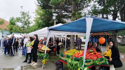 ТАКМИЧЕЊЕМ ПРОИЗВОЂАЧА ДОМАЋИХ РАКИЈА:  Данас почињу „Дреновачки дани“