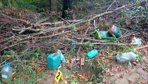 PLANTAŽA U NEDOĐIJI: Na Staroj planini zaplenjeno 28 kilograma marihuane