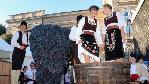 SMEDEREVSKO VINOGORJE U SUSRET JESENI: Najstarija srpska manifestacija u čast vina i grožđa biće održana od 5. do 8. septembra