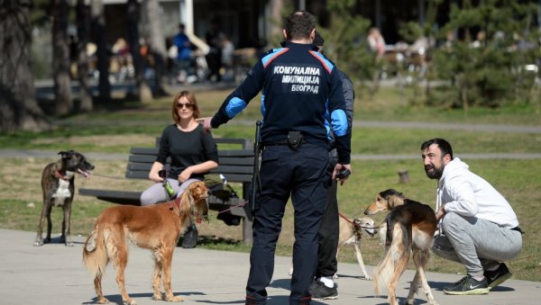 МУЊЕВИТА АКЦИЈА ПОЛИЦИЈЕ У БЕОГРАДУ: Пали комунални полицајци због корупције, осумњиченима хитно одређен притвор