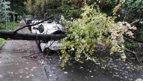 VETAR NAPRAVIO HAOS PO CELOJ SRBIJI: Drveće iščupano iz korena, popadalo po automobilima i ulicama (FOTO) VETAR NAPRAVIO HAOS PO CELOJ SRBIJI: Drveće iščupano iz korena, popadalo po automobilima i ulicama (FOTO)