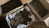 U KUĆI NAĐENA MARIHUANA: Uhapšen osumnjičeni u Novom Sadu