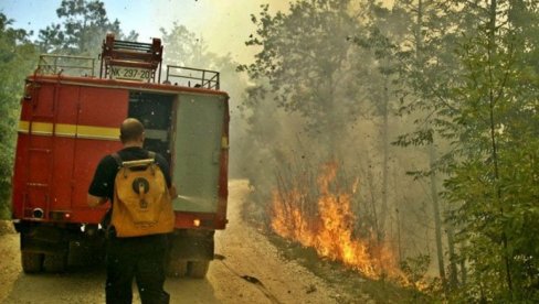 SAMO KIŠA MOŽE DA GA UGASI: Veliki požar iznad Cetinja i Budve se širi