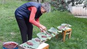 KOLAČ PEČEN NA LISTU KUPUSA: Na Murtenici vekovima pripremaju neobičnu poslasticu KOLAČ PEČEN NA LISTU KUPUSA: Na Murtenici vekovima pripremaju neobičnu poslasticu