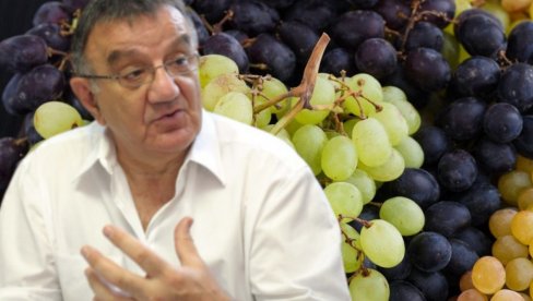 ВЕЧИТА ДИЛЕМА: Црно или бело грожђе? Доктор Перишић открио које је ЗДРАВИЈЕ ВЕЧИТА ДИЛЕМА: Црно или бело грожђе? Доктор Перишић открио које је ЗДРАВИЈЕ