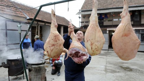 OPREZNO U SEZONI SVINJOKOLJA - ISHOD MOŽE DA BUDE FATALAN: Upozorenje jagodinskog Veterinarskog instituta na trihinelozu