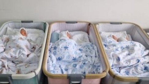 БЕБИ-БУМ У НОВОМ САДУ: За дан рођене 33 бебе, међу њима два пара близанаца БЕБИ-БУМ У НОВОМ САДУ: За дан рођене 33 бебе, међу њима два пара близанаца