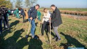 NA 10 HEKTARA 26.000 NOVIH SADNICA: Pošumljavanje u Melencima, sadile i ministarka i državna sekretarka (FOTO)