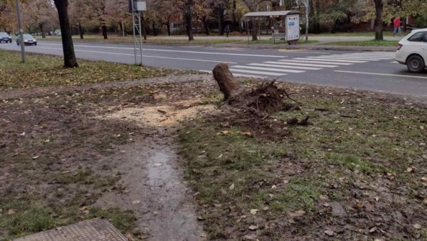 САМО ДА СЕ ОПОРАВИ: Познаници репрезентативке Србије (15), повређене у саобраћајној несрећи, забринути