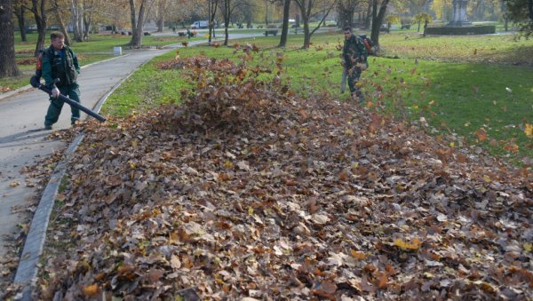 ОПАЛО ЛИШЋЕ  ЗАГРЕВА И  ХРАНИ БИЉКЕ: ЈКП Зеленило Београд у својој биобази прерађује сав биолошки отпад