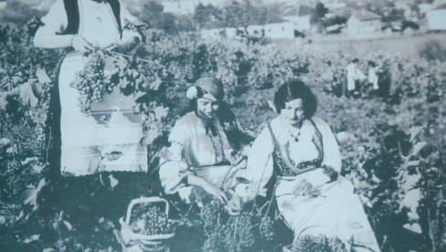 СРПСКА ПРЕСТОНИЦА БЕРБЕ: У овом граду производе вино још од 12. века (ФОТО) СРПСКА ПРЕСТОНИЦА БЕРБЕ: У овом граду производе вино још од 12. века (ФОТО)