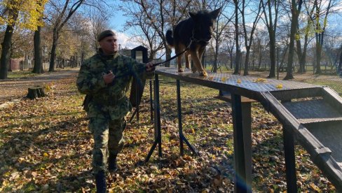 Obuka službenih pasa za čuvarsku službu (FOTO)