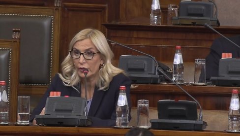 MAJA POPOVIĆ OSUDILA NAPAD NA AKTIVISTE SNS: Politička nezrelost opozicije u Srbiji, nadležne institucije da reaguju