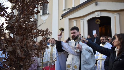NE SECITE CELO DRVO ZA BADNJAK: Apel lovaca iz Mokrina povodom Badnjeg dana