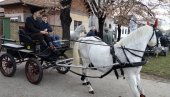 NA KONJIMA VIJALI BOŽIĆ: Tradicionalna manifestacija na novosadskoj Salajci (VIDEO)