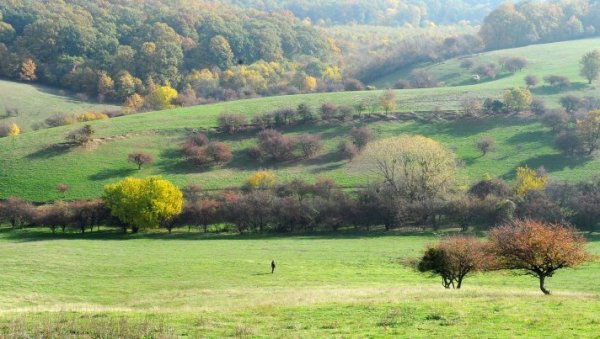 ТУРИСТИЧКА ОРГАНИЗАЦИЈА ВОЈВОДИНЕ: Представљамо Словенији наше природне лепоте