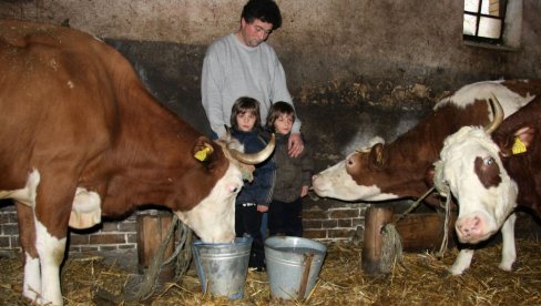 REKORDNI PODSTICAJI U STOČARSTVU: Nove vrste subvencija i uvećana podrška domaćim rasama