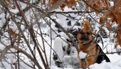 PRIPREMAJU SE ZA KOPNENU ZONU BEZBEDNOSTI: Kako izgleda redovna obuka jedinica Kopnene vojske (FOTO)