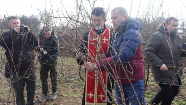 НАЈБОЉЕ ВИНО ИЗ ТАРАША: У Иђошу код Кикинде одржани 23. „Дани вина“