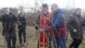 NAJBOLJE VINO IZ TARAŠA: U Iđošu kod Kikinde održani 23. „Dani vina“